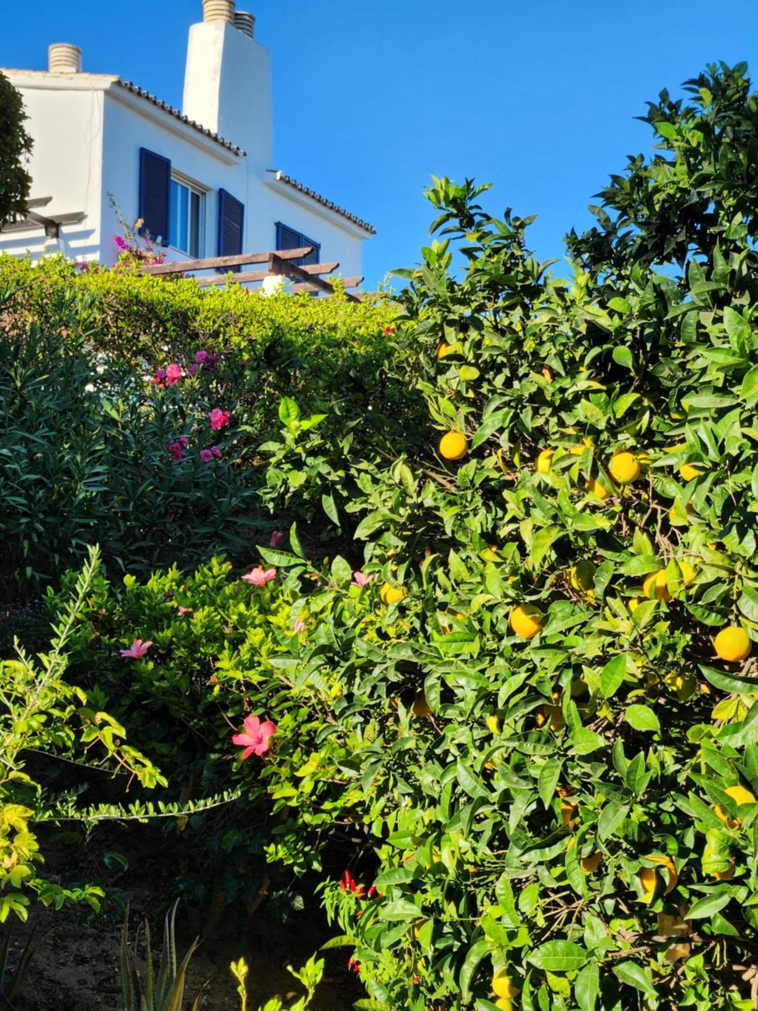 Elena Flat Lovely Paradise Above The Sea Sitio de Calahonda Exterior foto